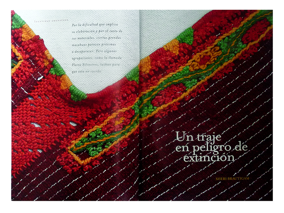 Textiles Mazahuas - Mazahua Textiles - Artes de México