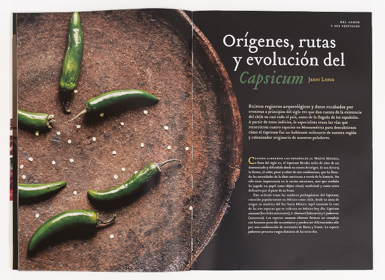 Chile, el Fruto Ancestral - Chili, The Ancient Fruit - Artes de México