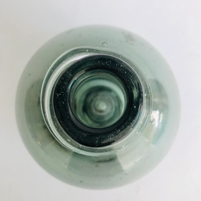 Blown Glass Wasp Catcher Style Tequila / Mezcal Bottle - Mist