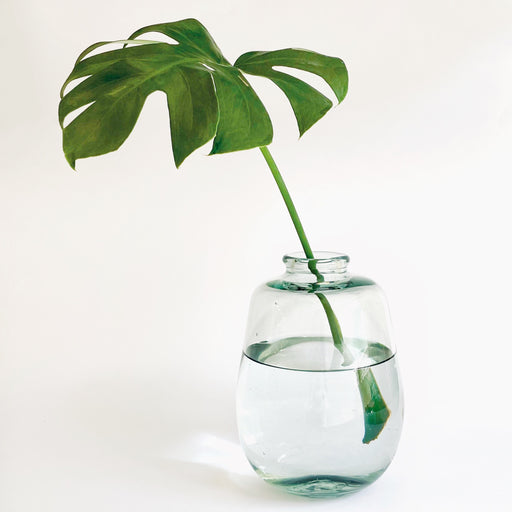 Blown Glass Vase - Clear