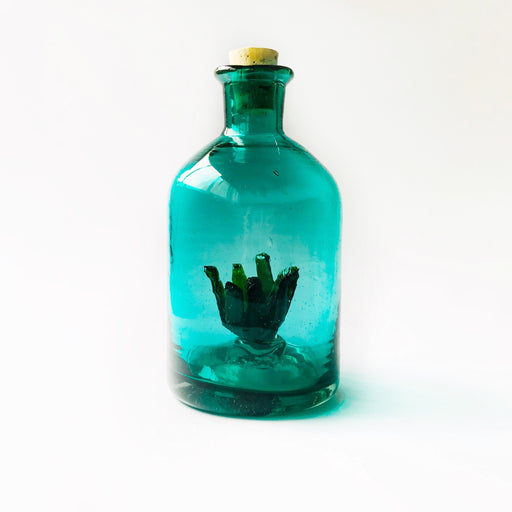 Blown Glass Tequila / Mezcal Bottle with Agave