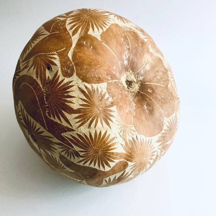 Natural Carved Gourd Tortillero