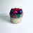 Colorful Palm Fiber Box with Lid